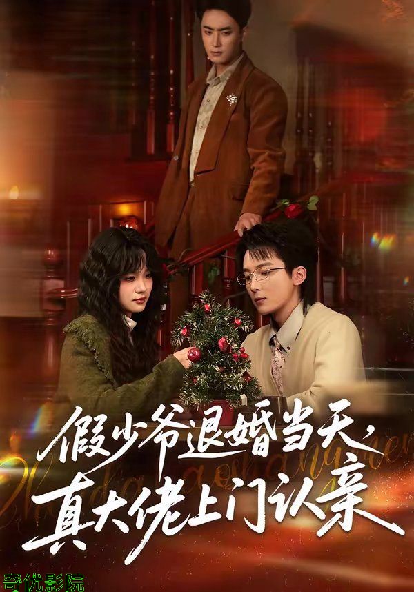 假少爷退婚当天，真大佬上门认亲
