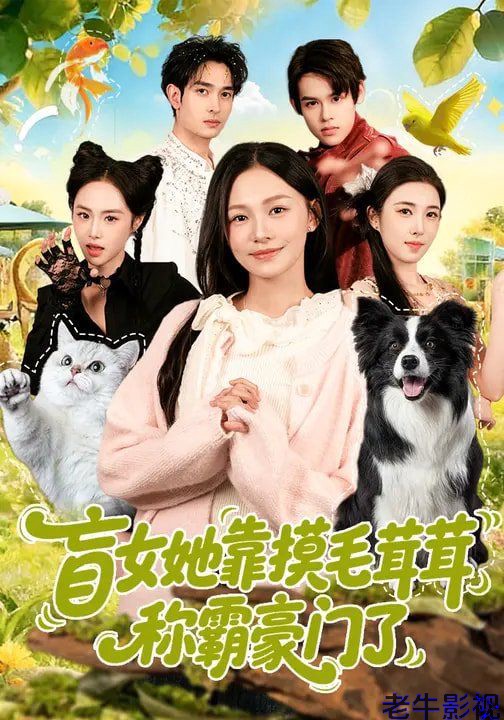盲女她靠摸毛茸茸称霸豪门了