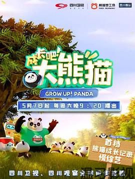 成长吧！大熊猫
