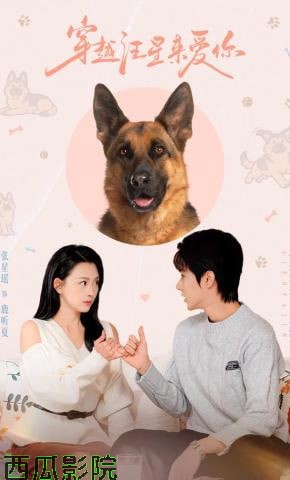 穿越汪星来爱你
